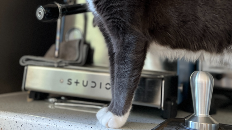 The Case for The Home Barista