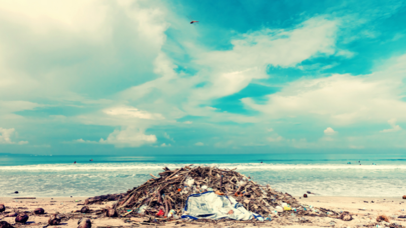 QLD to Ban Disposable Coffee Cups and Lids