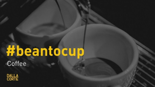 We asked our coffee experts what their first coffee experience was!