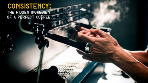 Consistency: The Hidden Ingredient for a Perfect Coffee