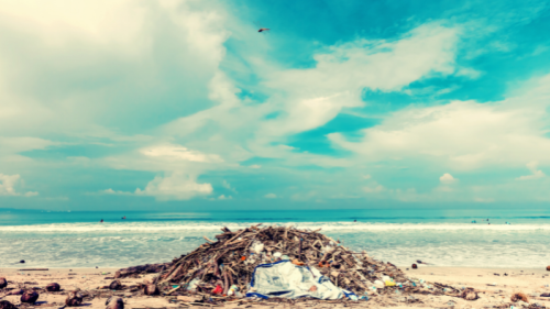 QLD to Ban Disposable Coffee Cups and Lids