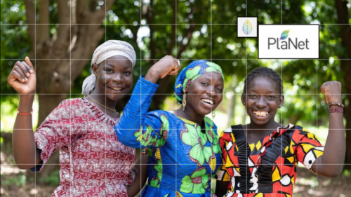 Protecting Forests for People, Wildlife, and Climate