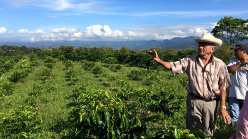 Efforts in Environmental Responsibility 