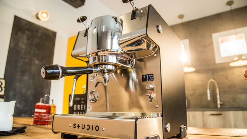 Studio, your new family member