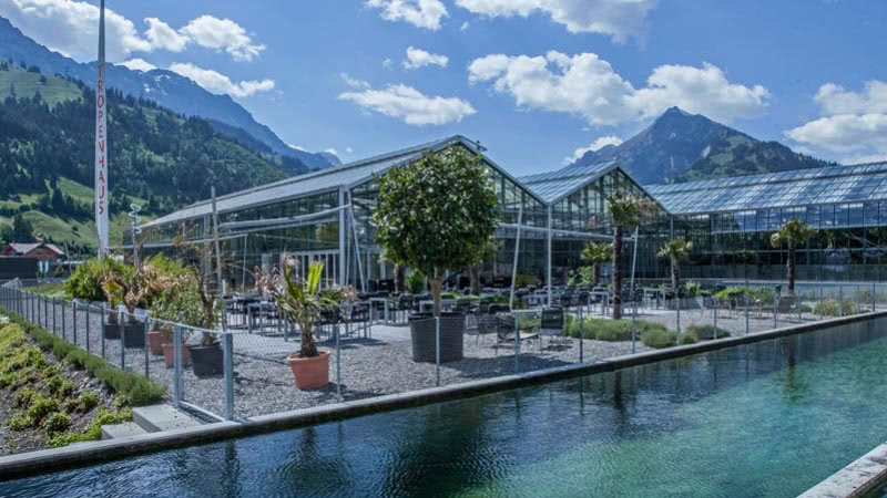 A jungle in the heart of Switzerland: Tropenhaus